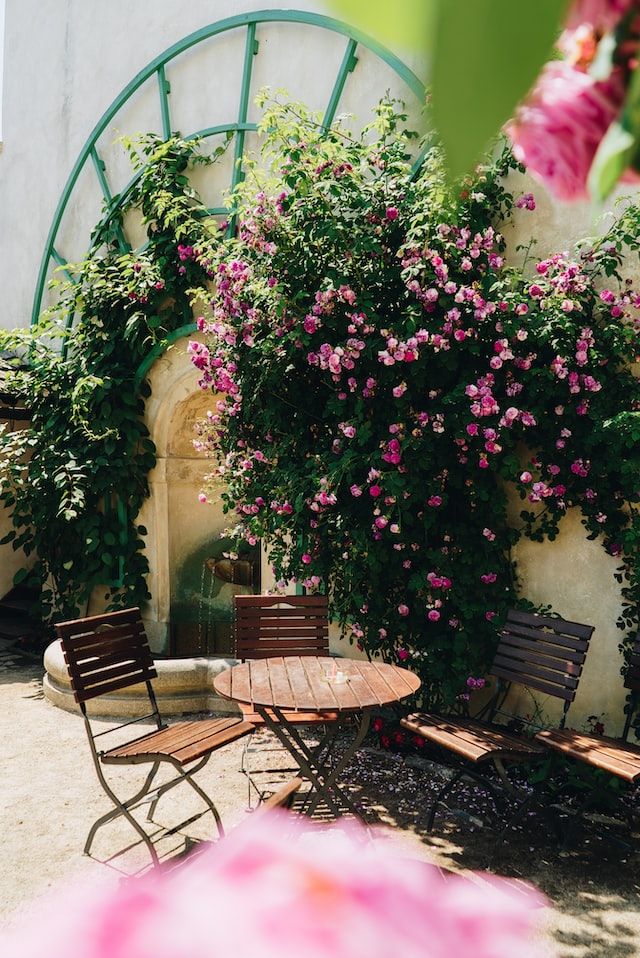 Outdoor patio with table chairs and Bougainvillea tree