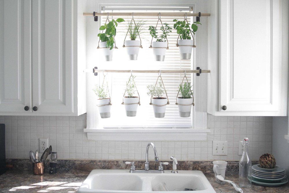 Kitchen indoor garden with hanging greens above sink