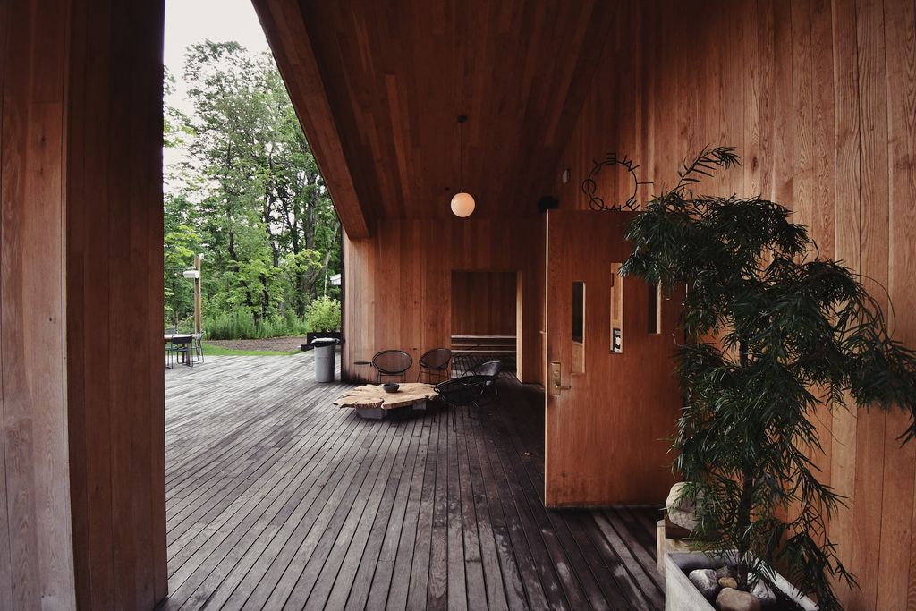 Modern patio with wooden floors and potted plant